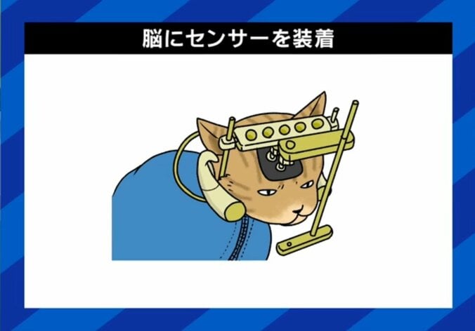 これは残酷？実際に行われる動物実験
