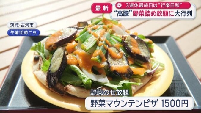ピザに10種類の野菜をのせ放題