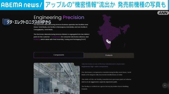 タタ・エレクトロニクスのHP