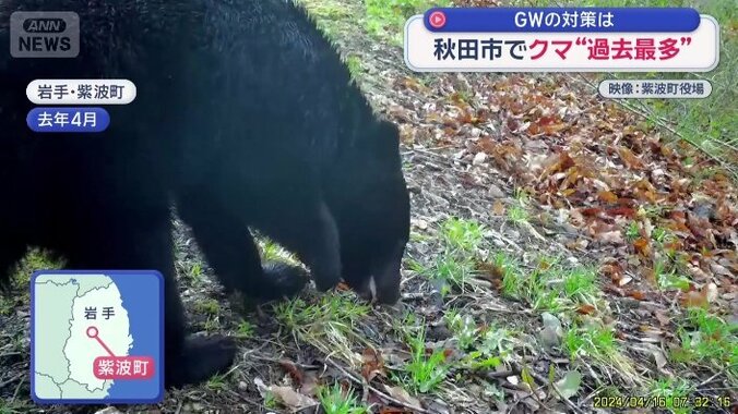 去年4月、城山公園で撮影された映像