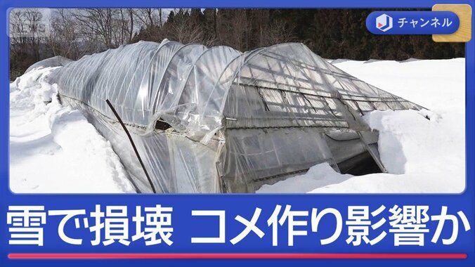 豪雪でコメ倉庫損壊　“コメ作り”ピンチ？ 1枚目