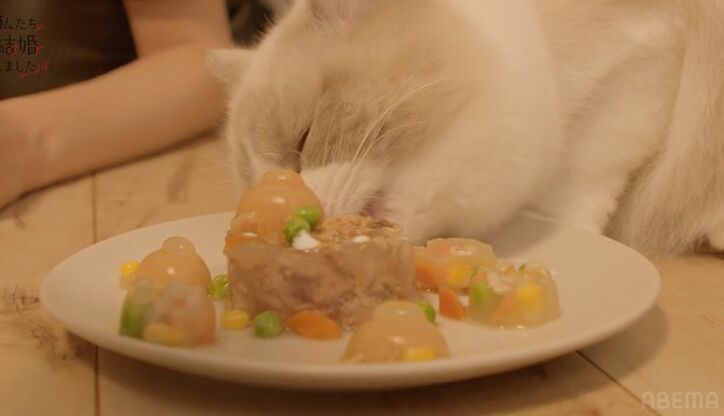 貴島明日香「今日も下僕がはかどる」朝からドM発言『私たち結婚しました4』第7話