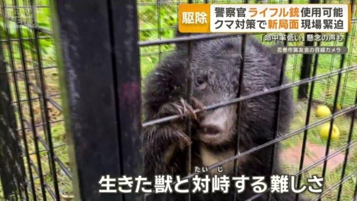 生きた獣と対峙する難しさ