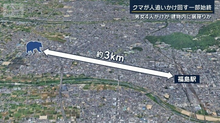 クマ出現場所