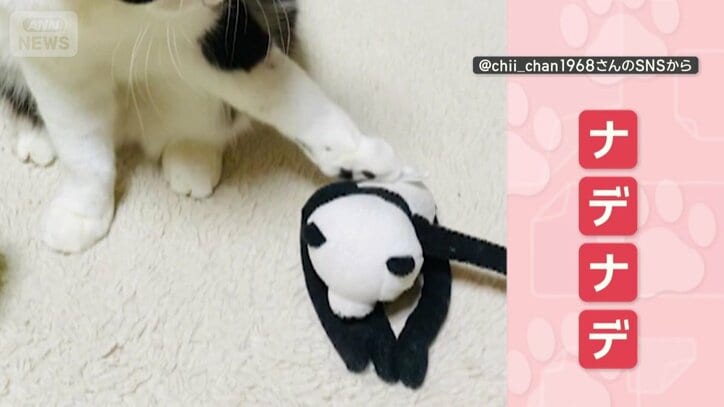 パンダもナデナデ