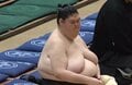 「足が細すぎるよ」「お尻が小さい」185センチ巨漢力士、“ほっそり”美脚にファン注目