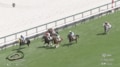 「ファン増えそう」芦毛の馬体と勝ち方が“父そっくり”デビューVの走りにネット沸騰「叫んでしまった」
