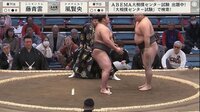 【映像】立ち合い不成立でペコリ 愛らしい一瞬のふるまい