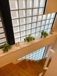 堀ちえみ『娘彩月はエンジョイしているようで^ ^』