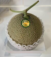 中澤裕子『大好きなメロン』