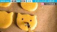 【映像】猫型クッキーが“キメラ”に変わる瞬間