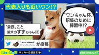 【映像】激しい攻防を繰り広げる柴犬選手と投稿者