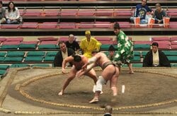 「ヨガのポーズみたい」敗れた力士が不思議な姿勢に 珍しい光景に「最後のポーズw」「体幹の良さがうかがえる」反響続々