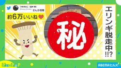 鉢でエリンギを栽培→予想外の場所から現れる“衝撃的な光景”に「今にも歩き出しそう」「根性エリンギ」と話題