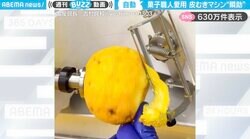 「気持ちいい〜！」菓子職人愛用の皮むきマシンで“ゆずの皮”をむく様子が「動画見るだけで柚子の香り感じる」「これぞ職人の味方！」と反響