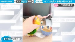 まるで工事現場？赤ちゃんインコの想像を絶する食事の勢いに「ヒモ引っ張ると動くオモチャみたい」反響続々