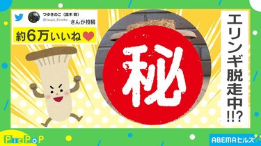 鉢でエリンギを栽培→予想外の場所から現れる“衝撃的な光景”に「今にも