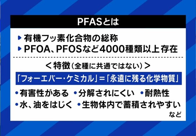 【写真・画像】　2枚目