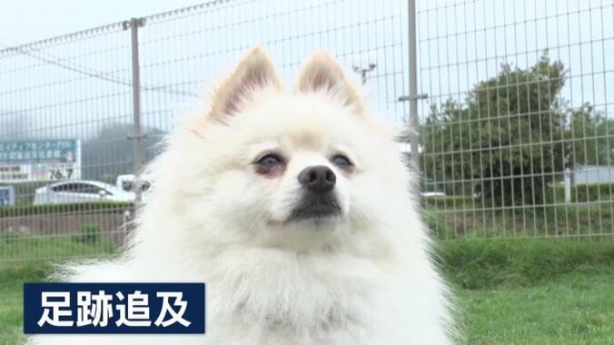 「足跡追及」に合格