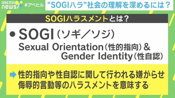 「生来の女性とセクハラの重みが…」性的指向などへのハラスメント“SOGIハラ” 社会理解を深めるためには？弁護士に聞く 2枚目