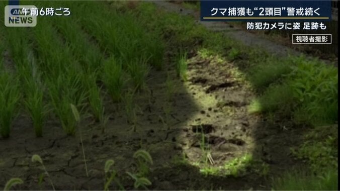 足跡