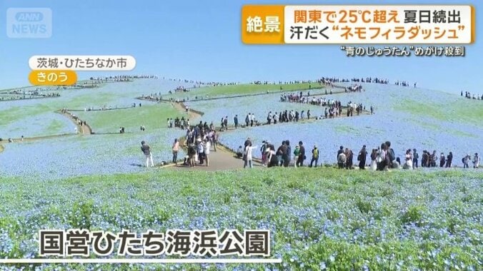 「国営ひたち海浜公園」