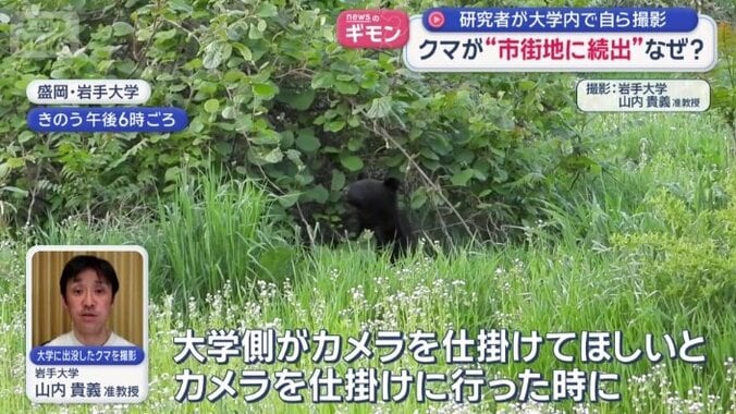 現場にいた山内准教授が撮影