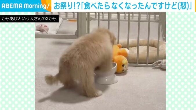 マルプーのからあげちゃん