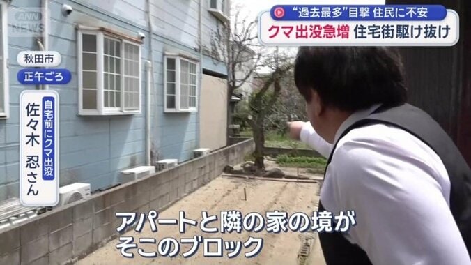 「その隙間を斜めに走っているのを目撃」