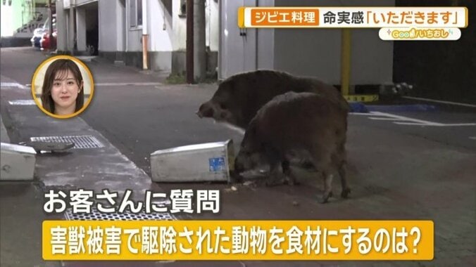 駆除せざるをえない動物を食材に