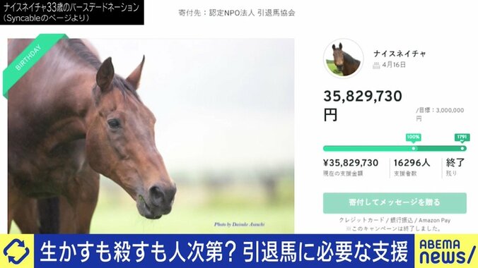 「走れなくなっただけでお肉にしてしまうのはもったいない」馬刺し・家畜の餌になるケースも…競走馬、年間1万頭の“余生”を考える 5枚目