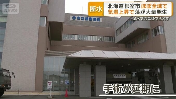 予定していた手術が延期