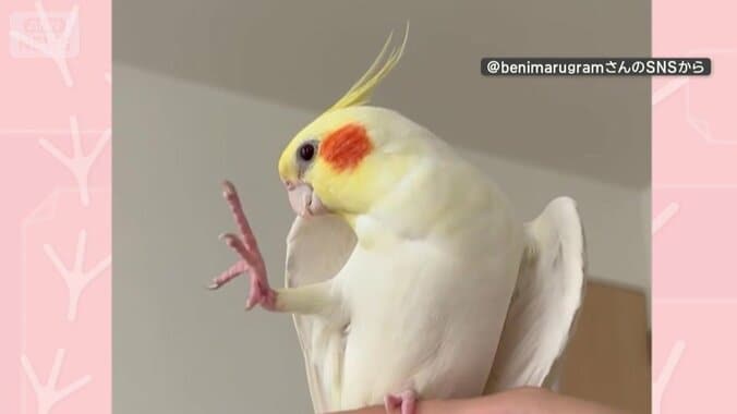 振り付きで歌う