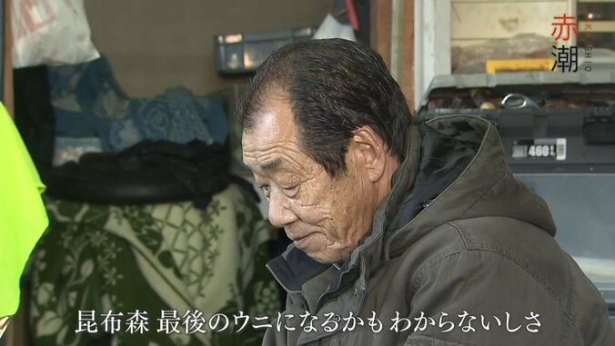 北海道の最高級ブランド「昆布森のウニ」が赤潮で窮地に…“ウニ一筋50年”の漁師の嘆き 4枚目