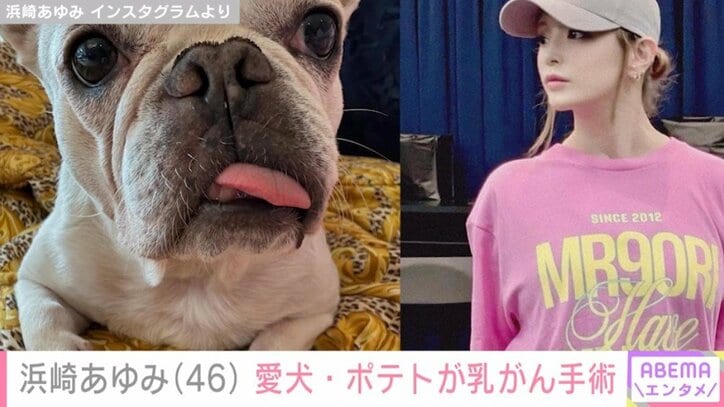 浜崎あゆみ（46）と愛犬・ポテト