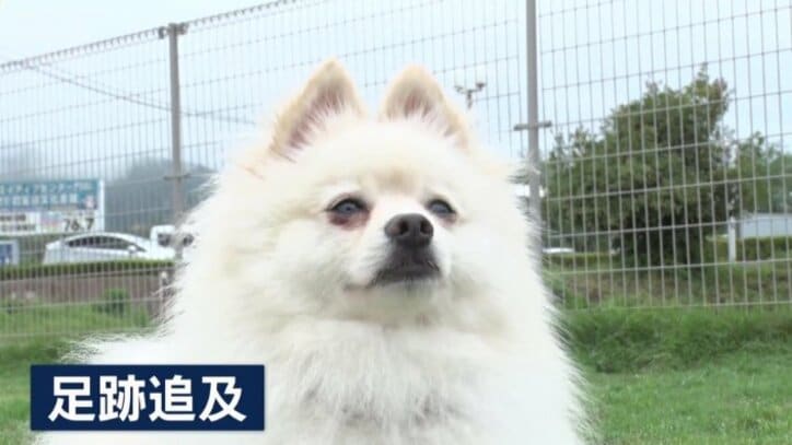 「足跡追及」に合格