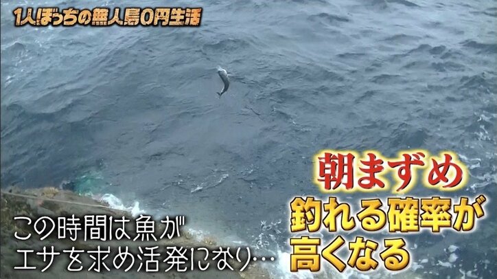 崖の上でぶっ倒れるナスD…釣ったサメを食べて過ごす「破天荒な休日」に密着