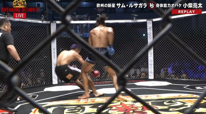 ラウンドガールの肩を“グイッ”と抱き寄せた勝者に「はしゃぎすぎ」苦言も KO率100％、イタリアの伊達男が衝撃KOも“自由奔放”すぎ