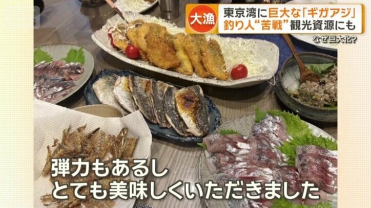 アジパーティー