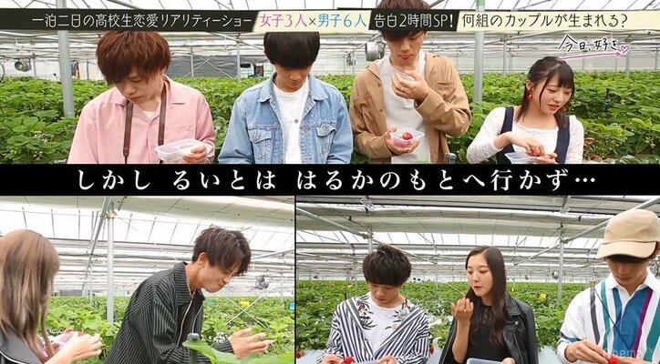 最強モテ女子を巡る男たちの戦いが遂に決着!涙涙の『今日好き』最終回SP