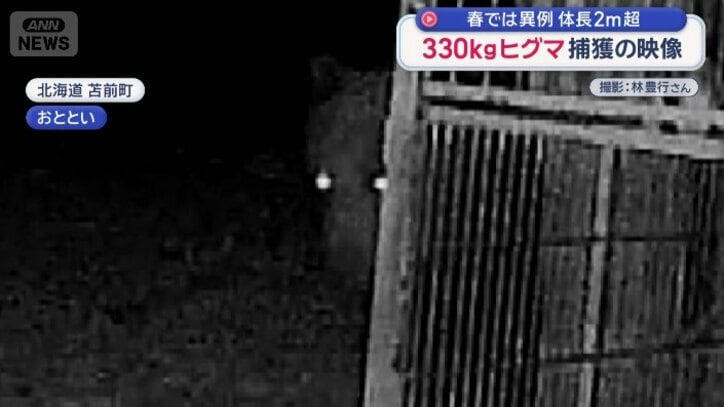 画面中央、光る眼