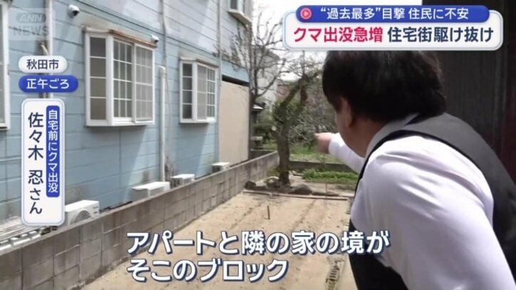 「その隙間を斜めに走っているのを目撃」