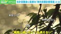 預金残高81円… 「経済的な困窮のある人たちにも治療を」無料低額診療事業に尽力する医師の願い