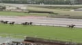 「相当強い」中距離で7馬身差“圧逃デビュー”の牝馬にファン絶賛「独走だ」「本物」