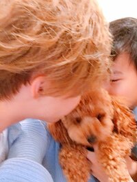 渡辺美奈代『4ショット』