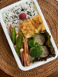 原田龍二の嫁『今週ラストのお弁当』