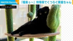 「極楽ぅ～」“特等席”でくつろぐ猫の姿に「涼しいニャ～」「何とも言えない表情しとるw」と反響続々