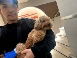  元あいのりメンバー、愛犬の手術が無事終了したことを報告「痛みがなくなってすっかり元気に」 