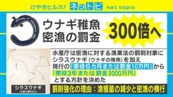ウナギの稚魚の密猟、罰金が10万円から3000万円に 水産庁が罰則強化の方針決める