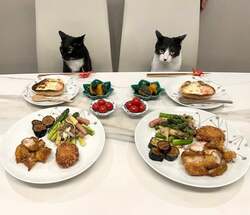  藤あや子、旬の食材を使った“自画自賛”の手料理を公開「豪華ですね」「完璧」の声 